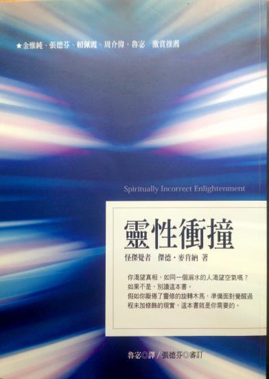 《灵性冲撞》假如你厌倦了灵性的旋转木马，这本书就是你需要的！PDF电子书下载