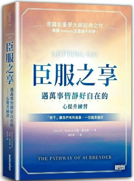 《臣服之享：遇万事皆静好自在的心提升练习》放下让我们有所进展，一切越来越好  PDF电子书下载