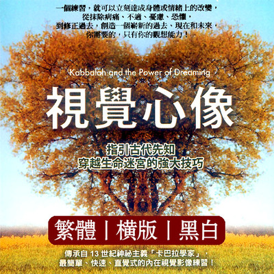 《视觉心像：指引古代先知穿越生命迷宫的强大技巧》一个练习，就可以立刻达成身体或情绪上的改变，  从抹除病痛，不适，忧虑，恐惧  PDF电子书下载