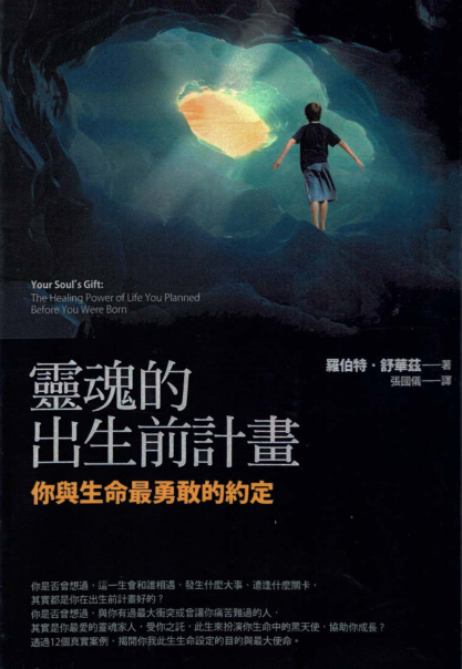 《灵魂出生前计划》你与生命最勇敢的约定  PDF电子书下载
