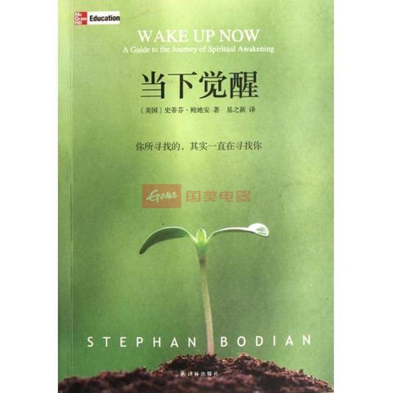 《当下的觉醒》PDF 下载 你所寻找的 其实一直在寻找你