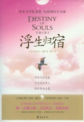 《灵魂之旅II浮生归宿》PDF 下载 浮生不浮皆是爱，归宿得归只为缘