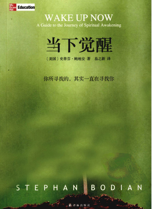 《当下觉醒》PDF下载  体验全面觉醒带来的精神蜕变，迎接自我解剖后的新生活