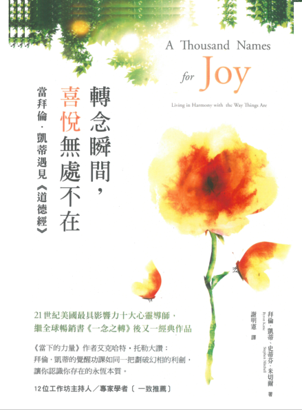 《转念瞬间，喜悦无处不在》当拜伦凯蒂遇见《道德经》 PDF电子书下载