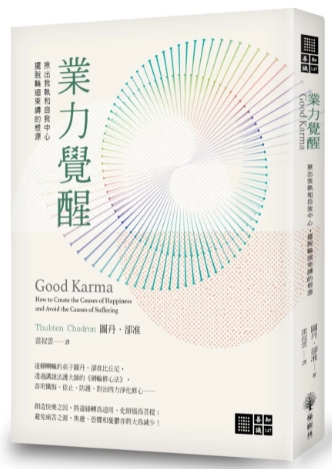 《业力觉醒》揪出我执和自我中心，摆脱轮迴束缚的根源  PDF电子书下载